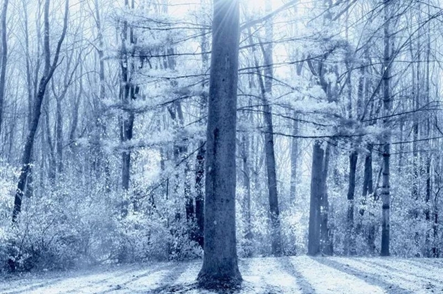 冬季外拍不容易，這些問(wèn)題要注意