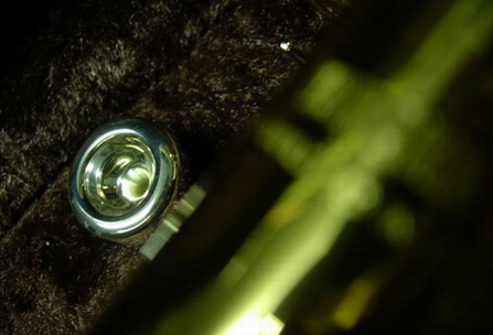 微距攝影3招技法