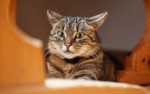 攝影玩家極易犯的7大失誤