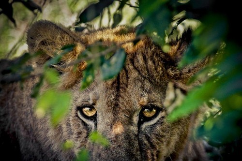 一生只能去一次的地方該帶什么攝影器材