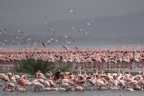 一生只能去一次的地方該帶什么攝影器材