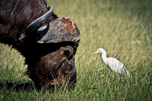 一生只能去一次的地方該帶什么攝影器材