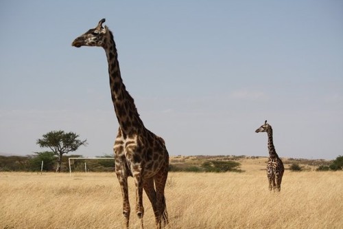 一生只能去一次的地方該帶什么攝影器材