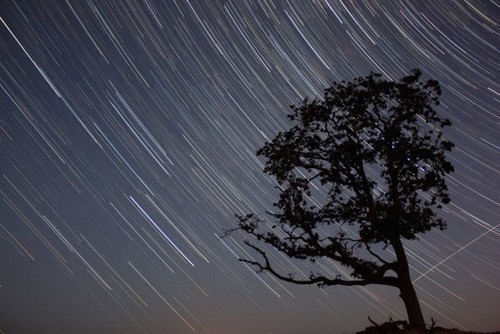 為攝影新手答疑 12個配置三腳架的理由