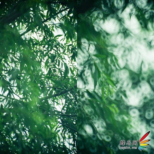  教你不用折返鏡頭拍出甜圈