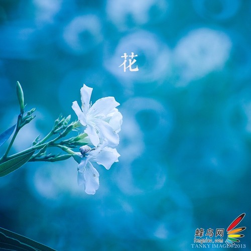  教你不用折返鏡頭拍出甜圈