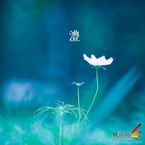  教你不用折返鏡頭拍出甜圈