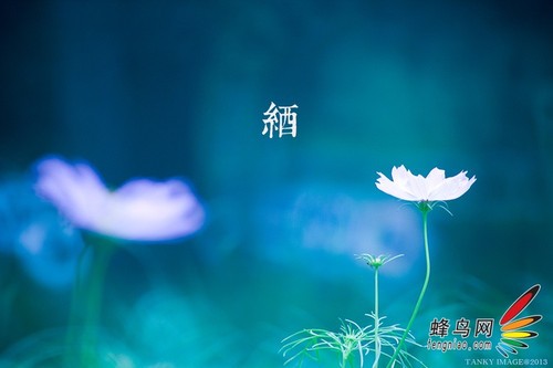  教你不用折返鏡頭拍出甜圈