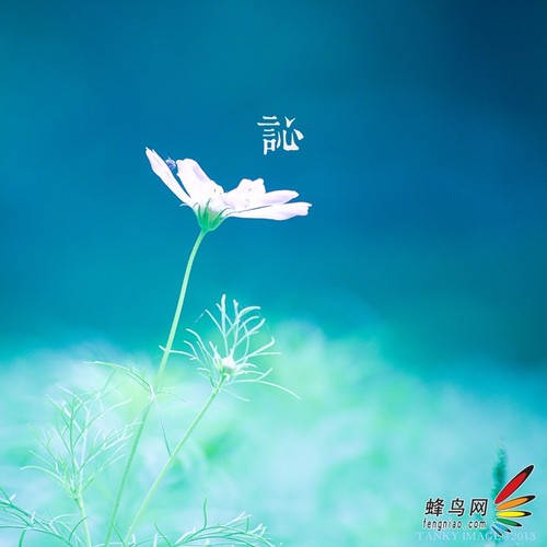  教你不用折返鏡頭拍出甜圈