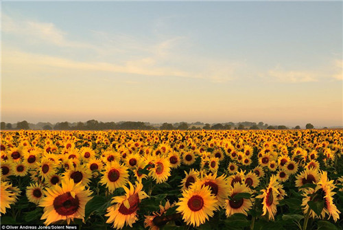 神童具攝影天賦 巧選景拍壯觀唯美場面