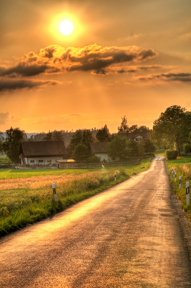 攝影：Tambako the Jaguar