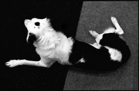 尋找生活的笑點(diǎn)