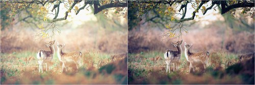 如何模擬日系調(diào)色