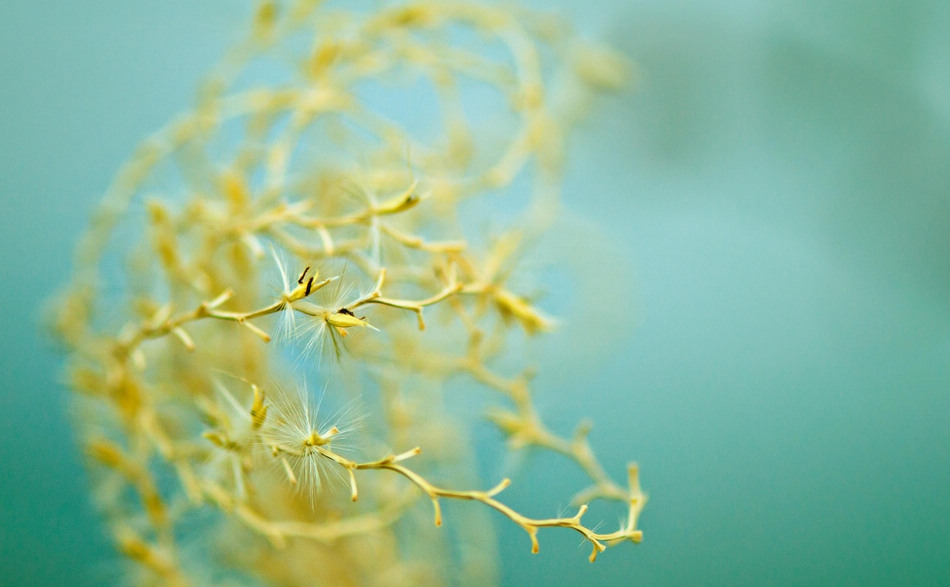 觀念攝影：尋寶游戲