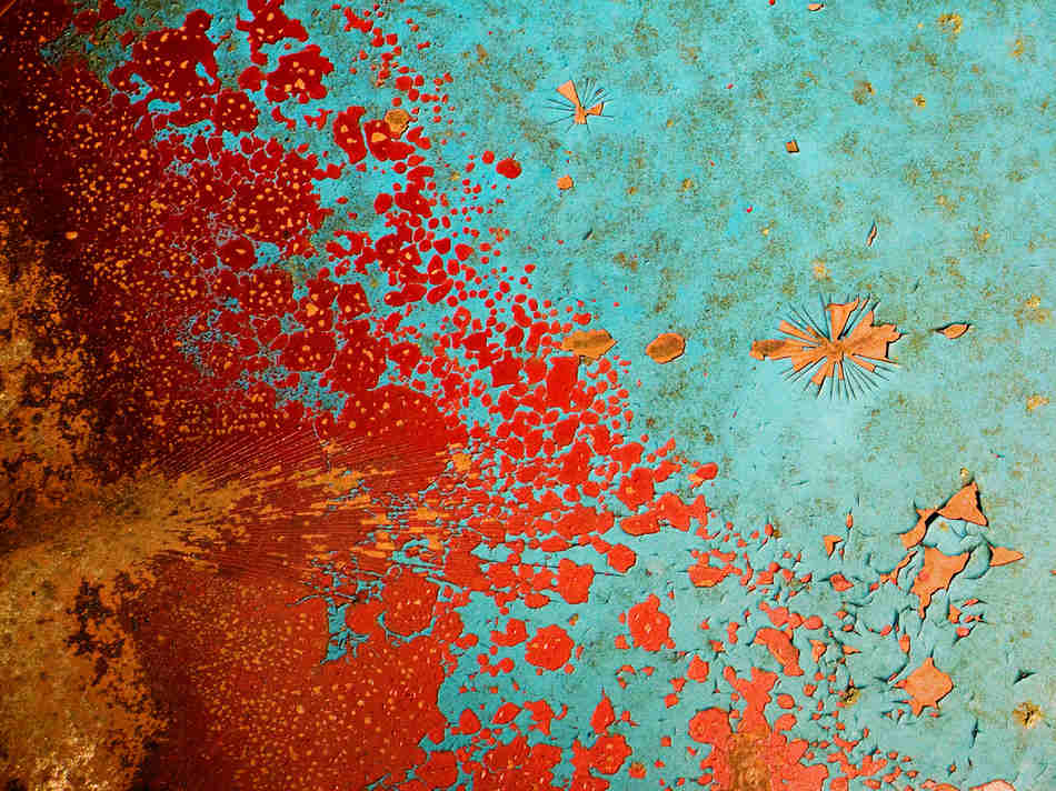 觀念攝影：尋寶游戲