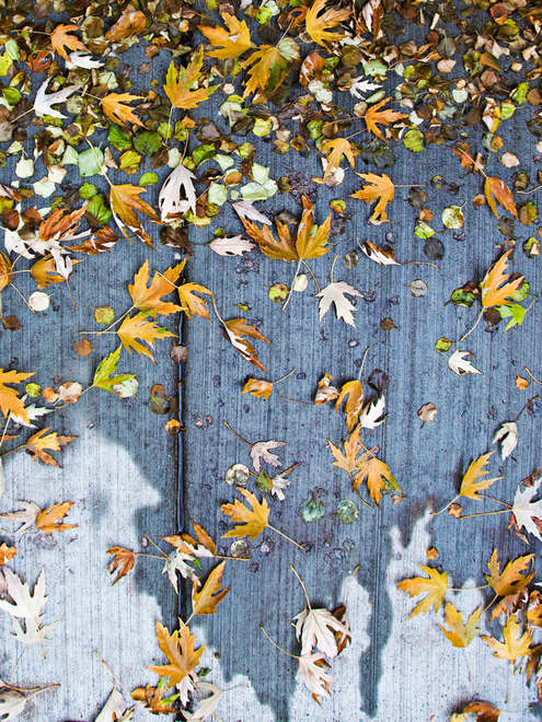 觀念攝影：尋寶游戲