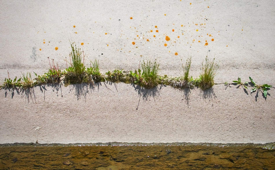 觀念攝影：尋寶游戲