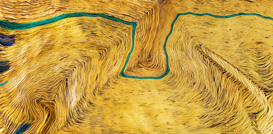 觀念攝影：尋寶游戲