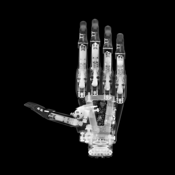 觀念攝影：X光下的世界