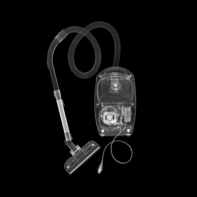 觀念攝影：X光下的世界