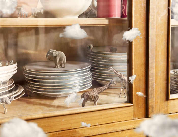 觀念攝影：小世界