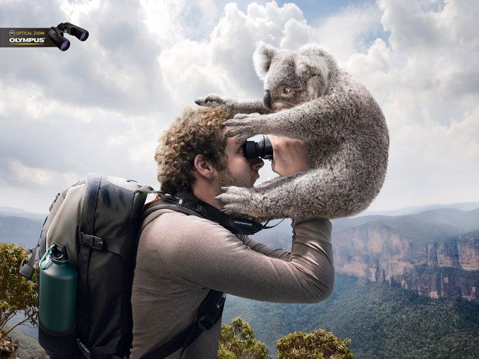 動(dòng)物創(chuàng)意廣告