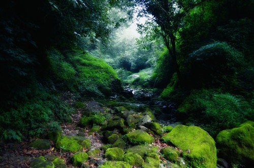 重新認識套裝鏡頭的5大好處
