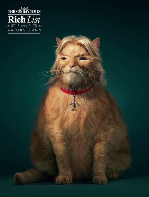 2014貓富豪排行榜