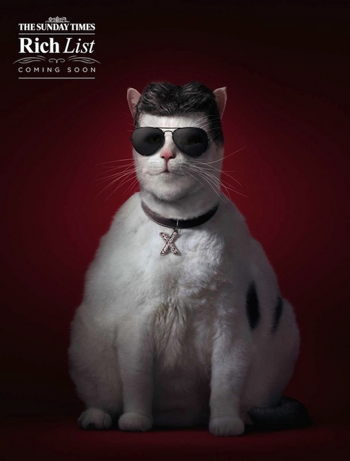 2014貓富豪排行榜