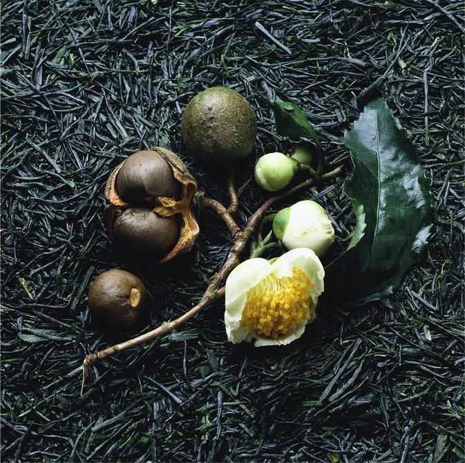 商業(yè)攝影：日本食物群像