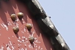 新銳超廣角 佳能EF 16-35mm F4L評測