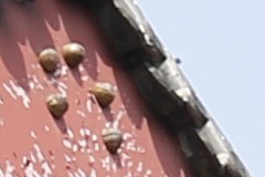 新銳超廣角 佳能EF 16-35mm F4L評測