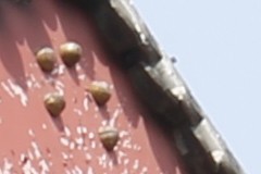 新銳超廣角 佳能EF 16-35mm F4L評測