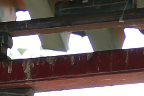 新銳超廣角 佳能EF 16-35mm F4L評測