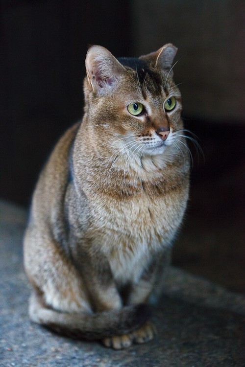 只有攝影人才關(guān)心的照片七件事