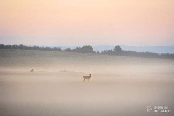 霧天風(fēng)光攝影的構(gòu)圖與對(duì)焦