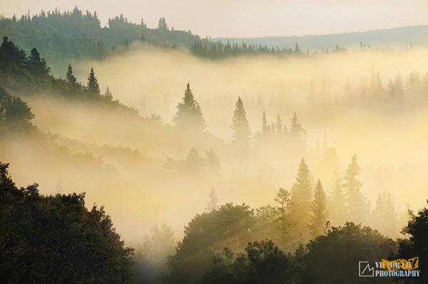 霧天風(fēng)光攝影的構(gòu)圖與對(duì)焦