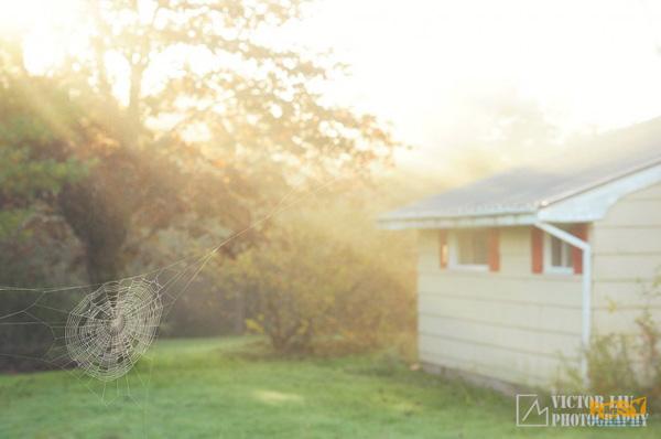 霧天風(fēng)光攝影的構(gòu)圖與對(duì)焦