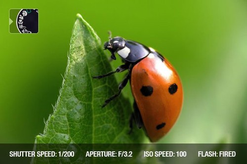 從零開(kāi)始學(xué)攝影 曝光模式用法實(shí)戰(zhàn)詳解