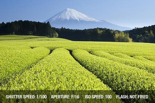 從零開始學(xué)攝影 曝光模式用法實(shí)戰(zhàn)詳解