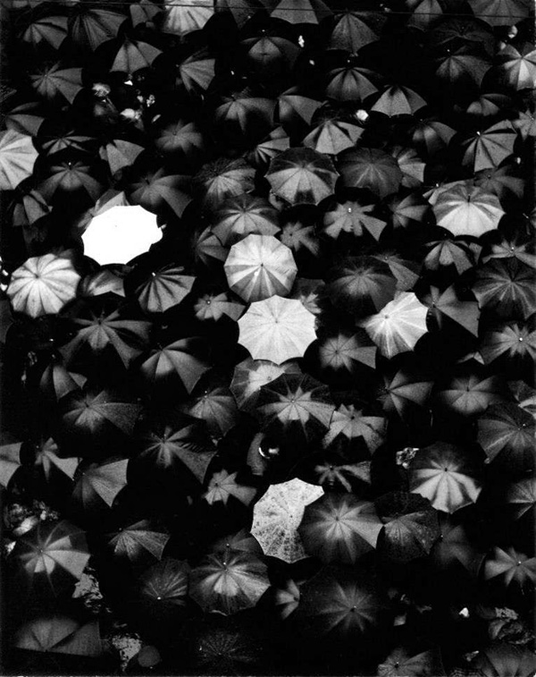 Nino Miglori攝影作品