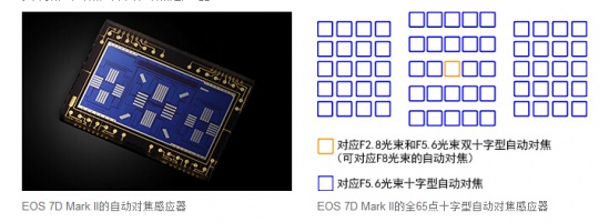 全方位的進化 佳能EOS 7D Mark II測評
