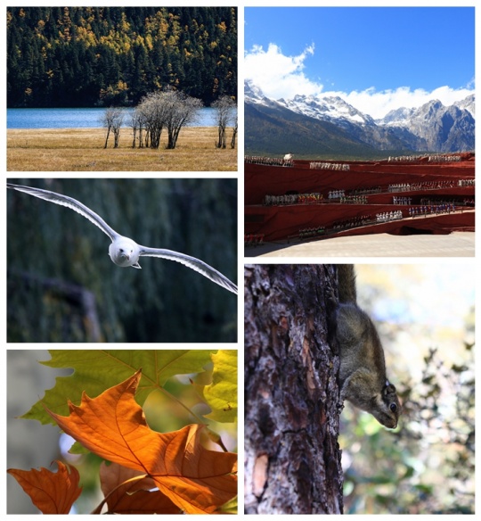 全方位的進化 佳能EOS 7D Mark II測評