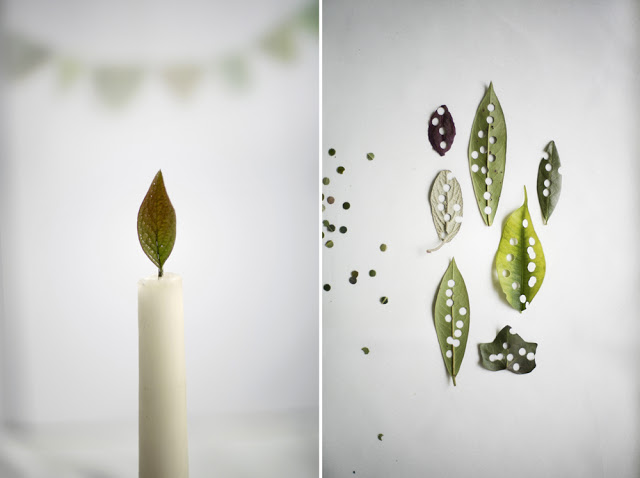 溫柔的美食攝影