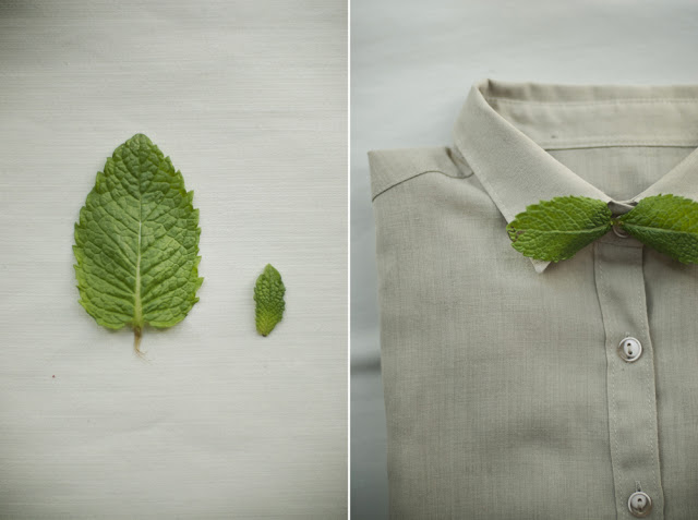 溫柔的美食攝影