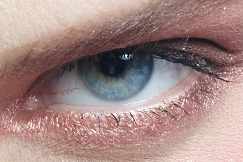 5000萬像素對決 佳能5DS VS 飛思IQ350MP