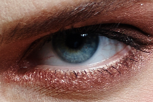 5000萬像素對決 佳能5DS VS 飛思IQ350MP