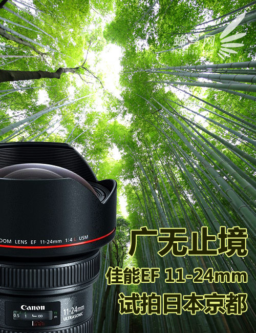廣無止境 佳能EF 11-24mm鏡頭試拍京都