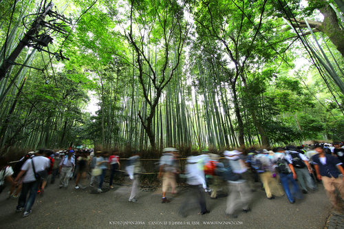 佳能11-24試拍京都