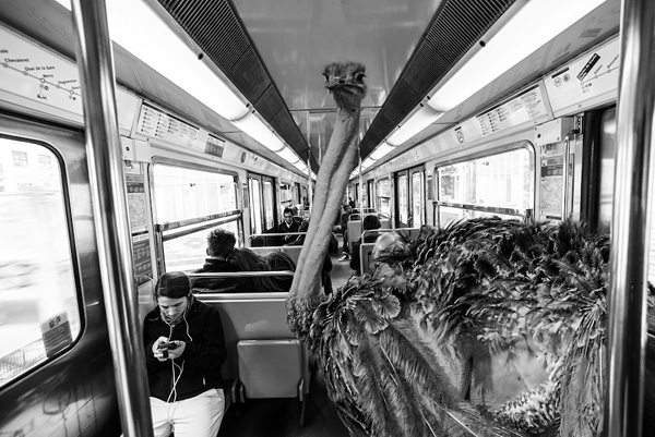 Thomas Subtil：地鐵動物園